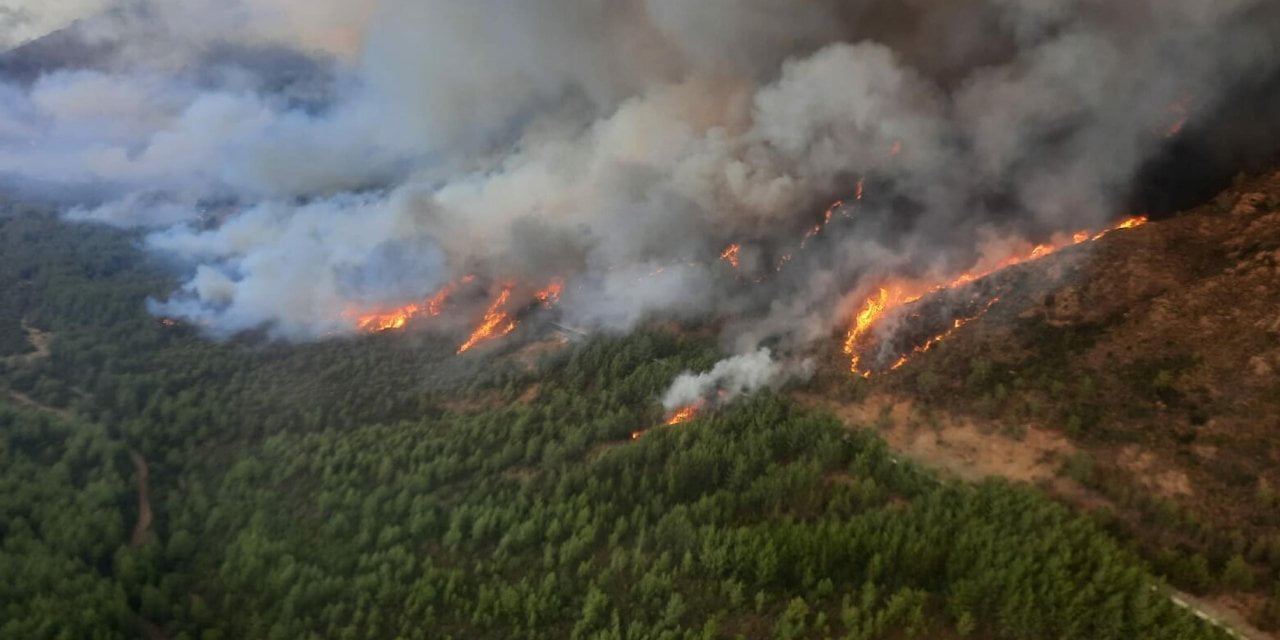 Bergama Orman Yangını