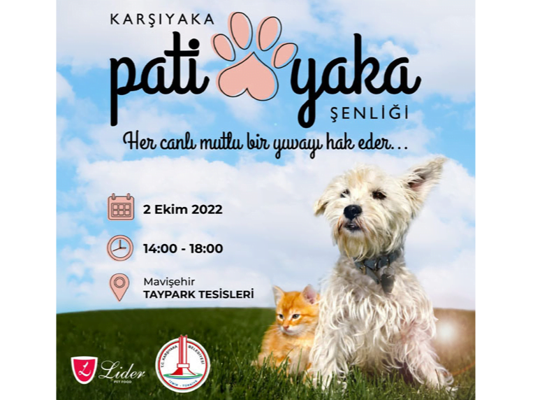 Patiyaka Şenliği