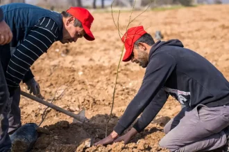 İzmir Tarımı Danışma Hattı