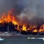 Bodrum Orman Yangını