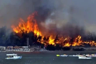 Bodrum Orman Yangını