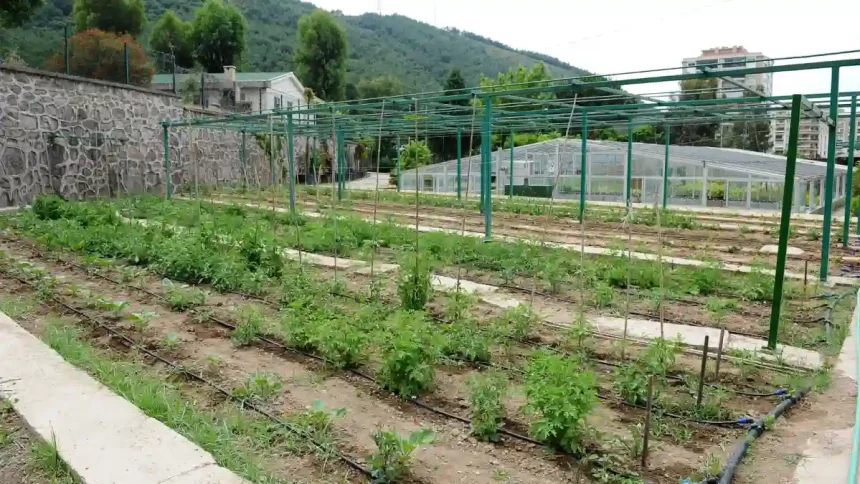 Karşıyaka Gıda Krizi Çözüm