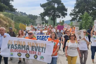 Altın Mdeni protesto