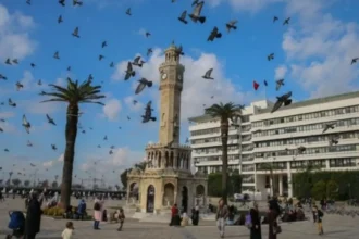 İzmir Büyükşehir Hizmet Binası