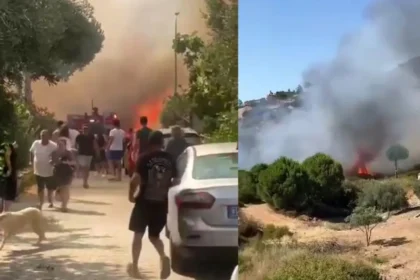 İzmir Foça Orman Yangını