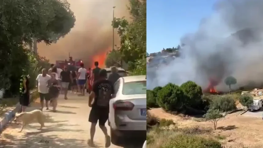 İzmir Foça Orman Yangını