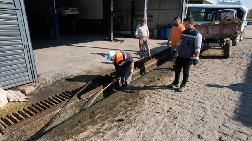 Ayvalık Mazgal temizliği