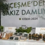 Çeşme Sakız Ağacı