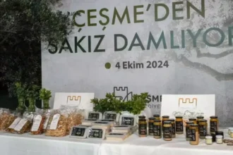 Çeşme Sakız Ağacı