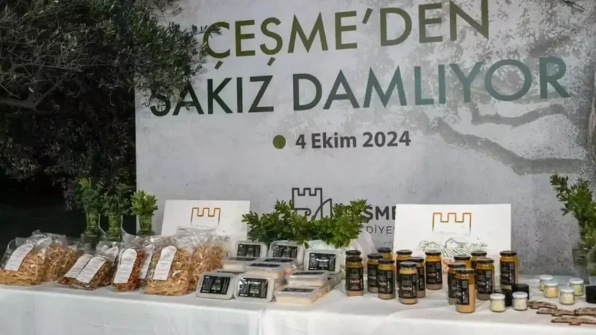 Çeşme Sakız Ağacı