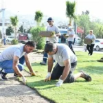 Çiğli Peyzaj Çalışması