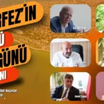 İzmir körfezi Belgeseli