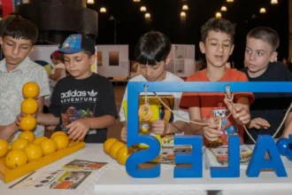 Matematik Festivali