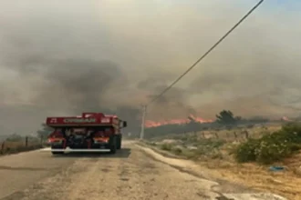 Karaburun orman Yangını