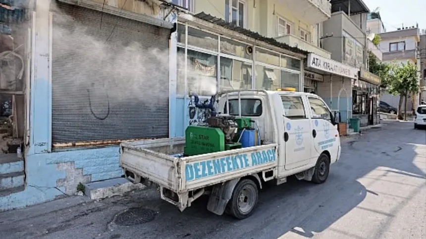 Sinek İlaçlama