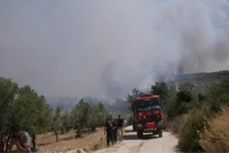Çeşme ıldır