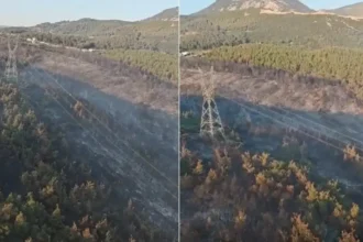 Manisa Orman Yangını