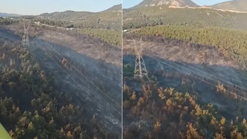 Manisa Orman Yangını