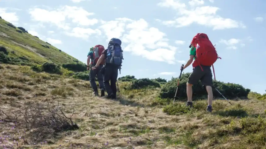 Trekking