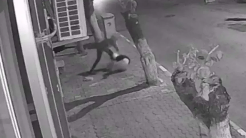 İzmir Bıçaklı Saldırı