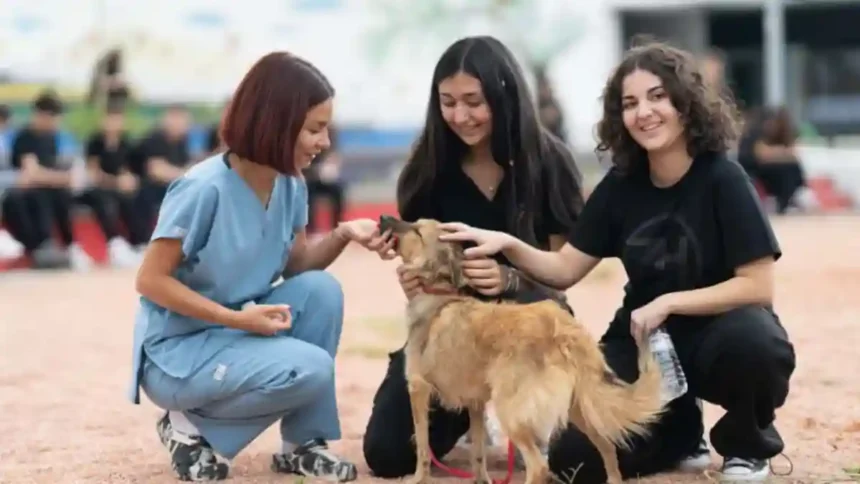 Hayvanları Koruma Günü