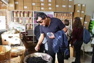 Bağcılık Sempozyumu