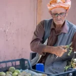 Beydağ İncir Üreticileri
