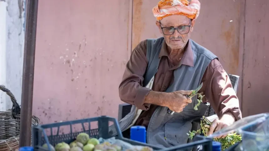 Beydağ İncir Üreticileri
