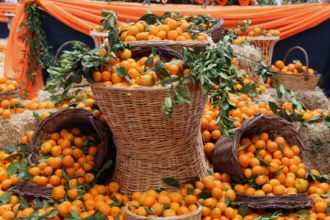 Seferihisar Mandalina Şenliği