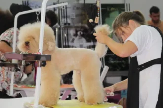 Pet İzmir 2026 Fuarı