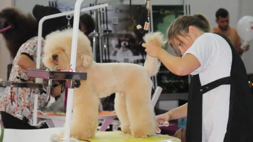 Pet İzmir 2026 Fuarı