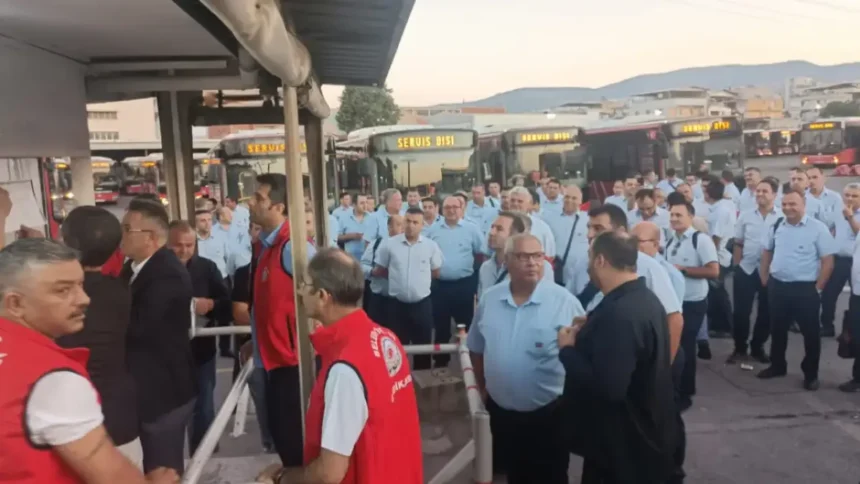 İzulaş