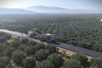 Selçuk Yol Yapım Çalışması